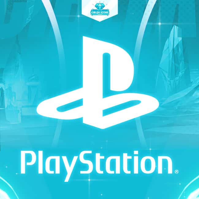 Play Station Network 